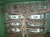 DSC00984.JPG