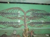 DSC00986.JPG